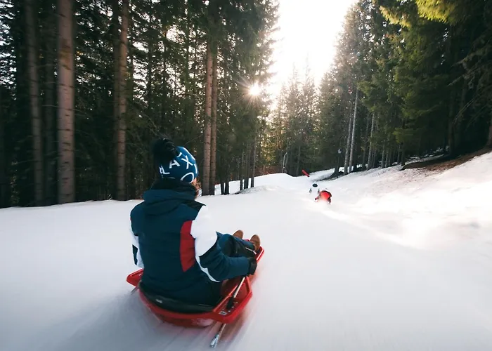 Confortable 2 Pieces Cabine, Skis Aux Pieds, Proche Commerces - Fr-1-182a-10