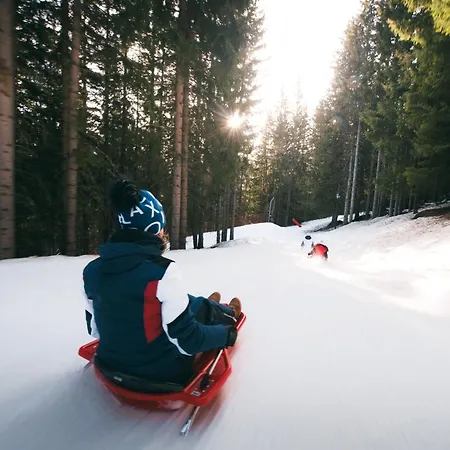 شقة Confortable 2 Pieces Cabine, Skis Aux Pieds, Proche Commerces - Fr-1-182a-10 *