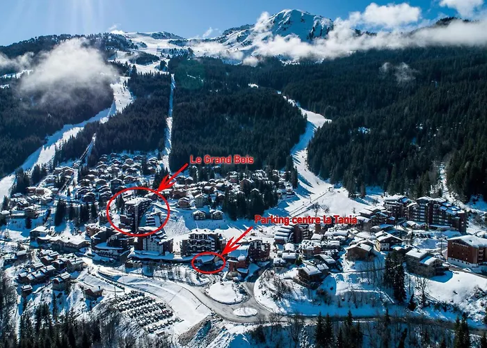 Confortable 2 Pieces Cabine, Skis Aux Pieds, Proche Commerces - Fr-1-182a-10 شقة